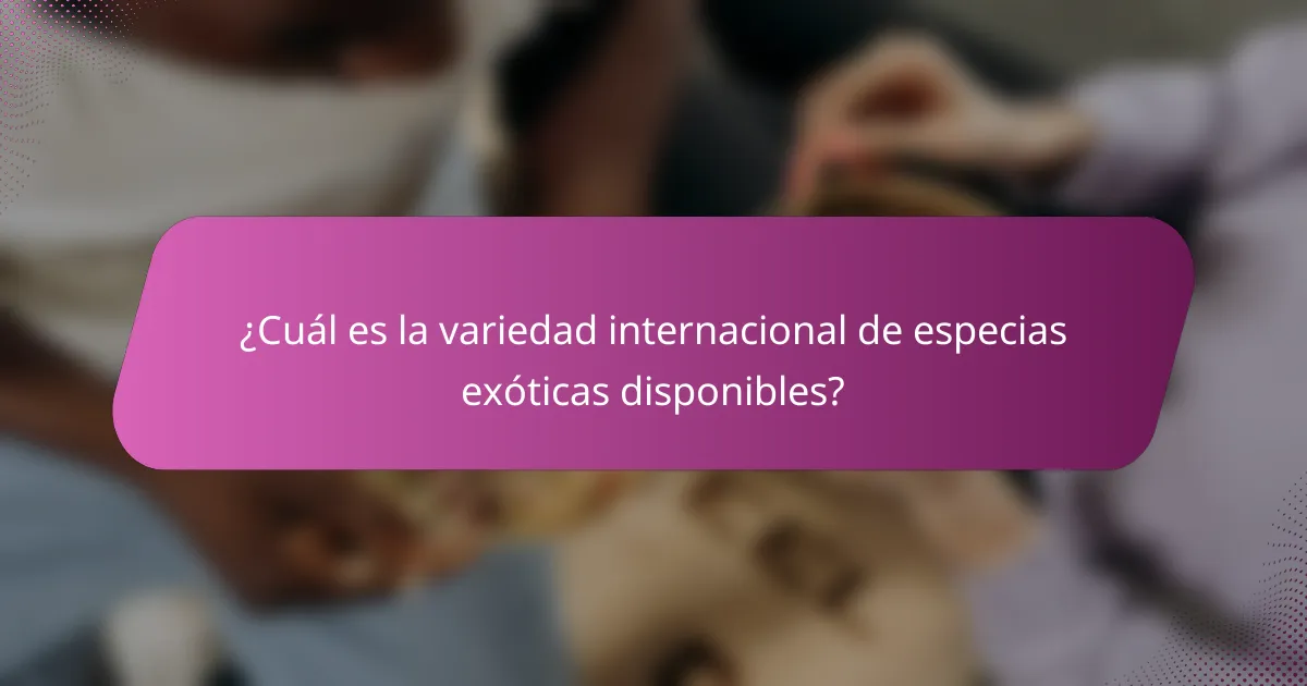 ¿Cuál es la variedad internacional de especias exóticas disponibles?